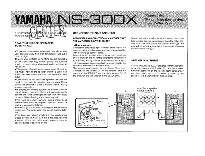 Yamaha NS-300X user guide