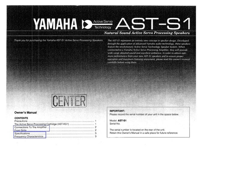 Yamaha ASP-S1 owner's manual