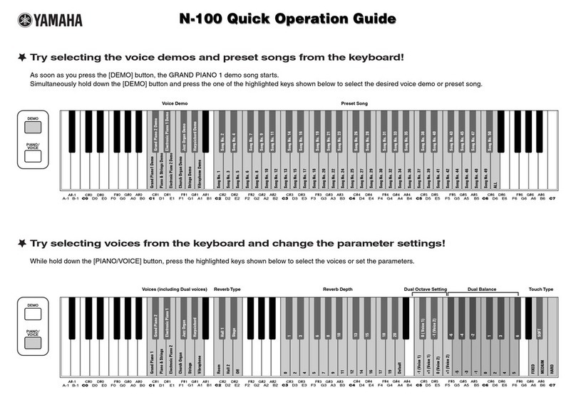 Yamaha N-100 User guide
