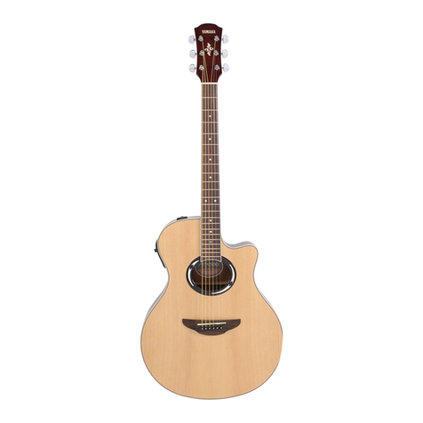 Yamaha APX500 user guide