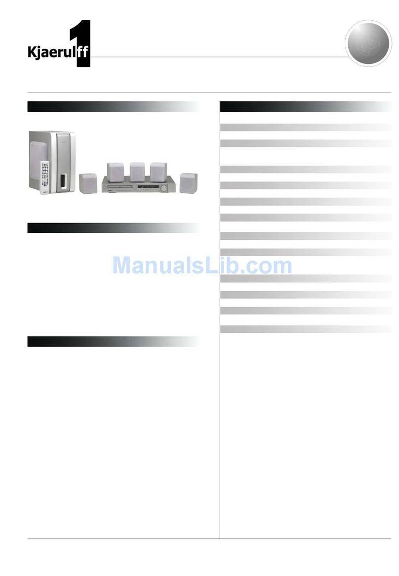 THOMSON DPL953REC - User manual
