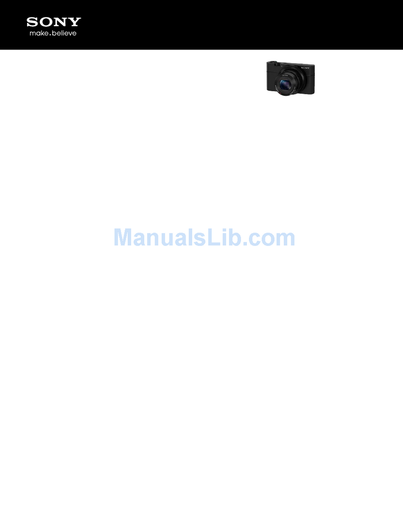 Sony DSC-RX100/B Specifications