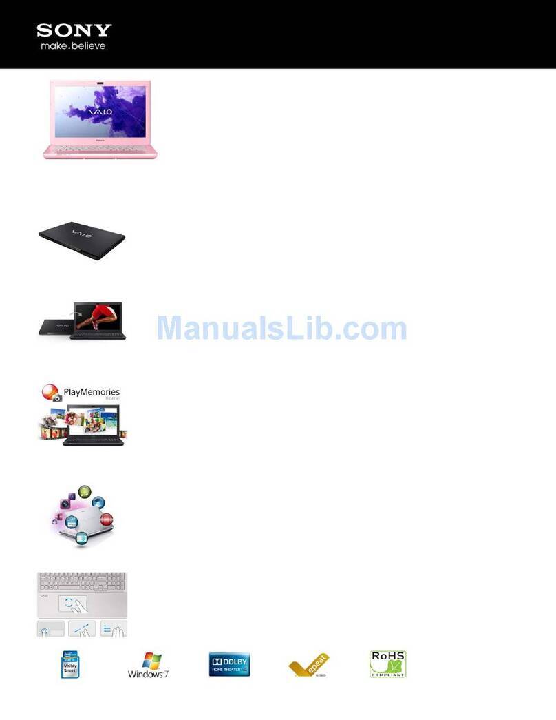 Sony SVS13112FXP User manual