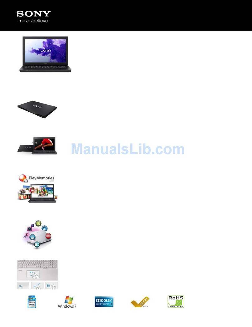 Sony SVS13112FXB Specifications