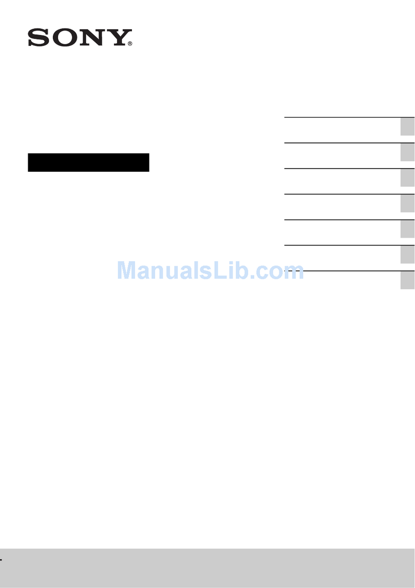 Sony SA-NS310 User manual
