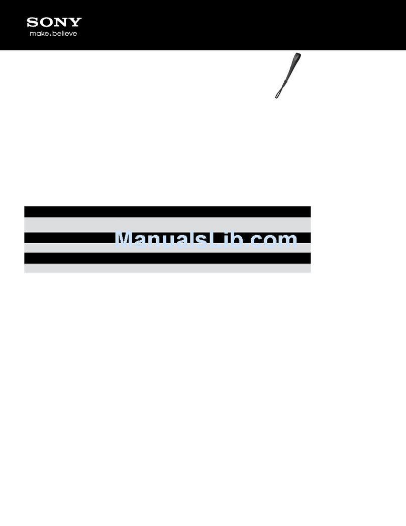 Sony STP-WS2 User manual