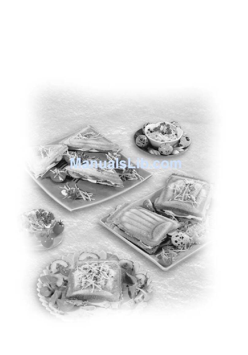 TEFAL POCKET SANDWICH - 04-07 manual