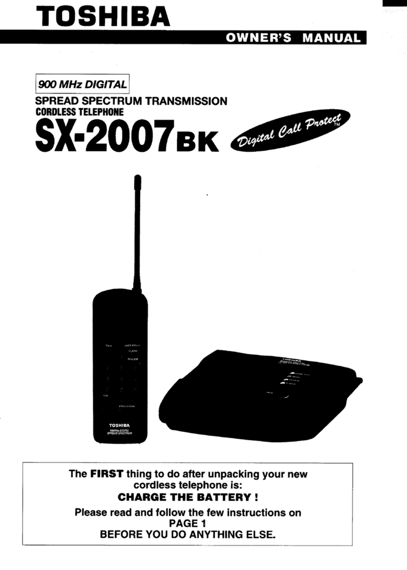 Toshiba SX-2007BK User manual