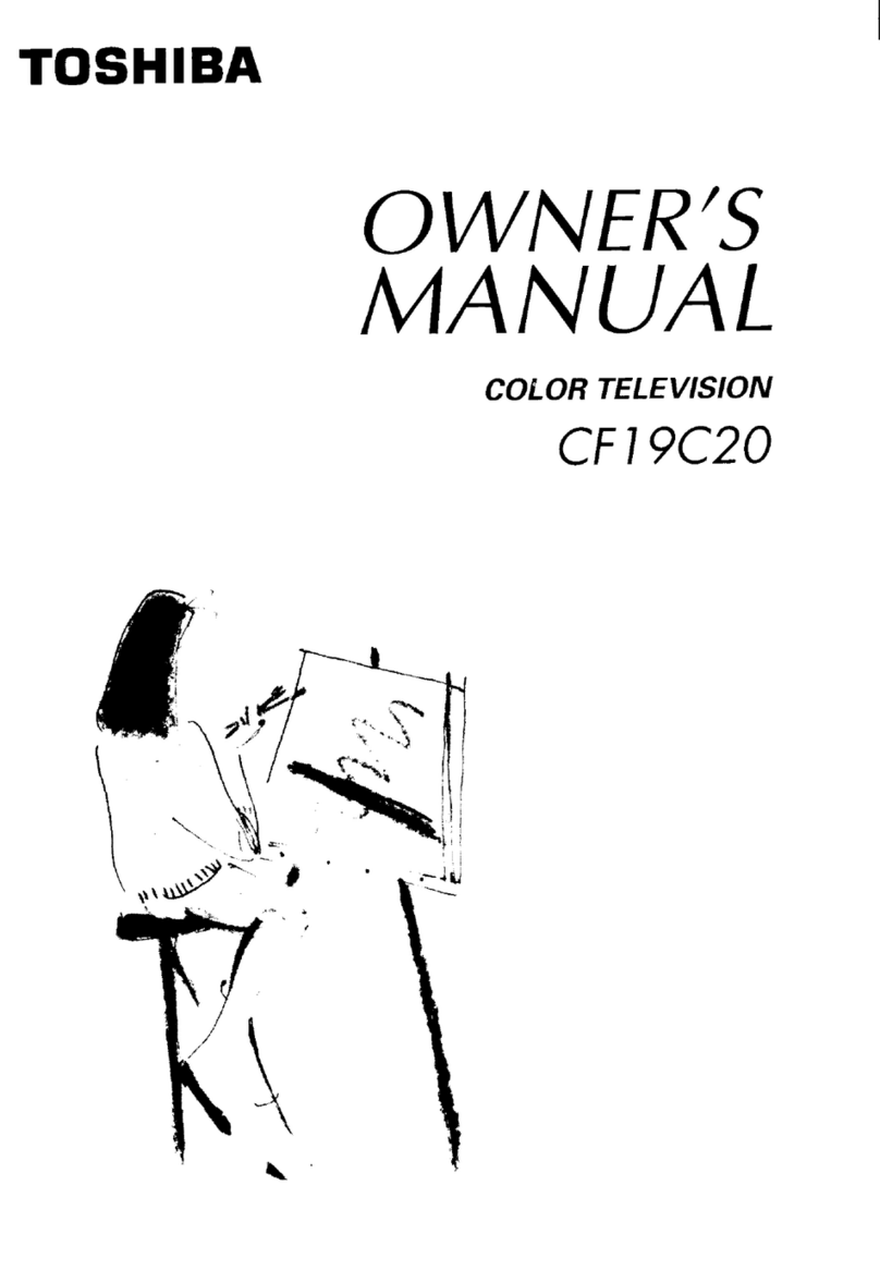 Toshiba CF19C20 User manual