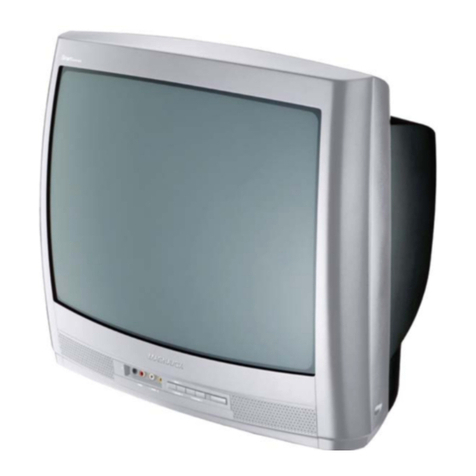 Magnavox 20MS233S99 User manual