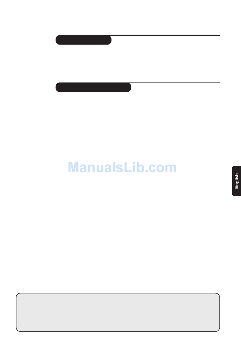 Philips 32PW8807 User manual
