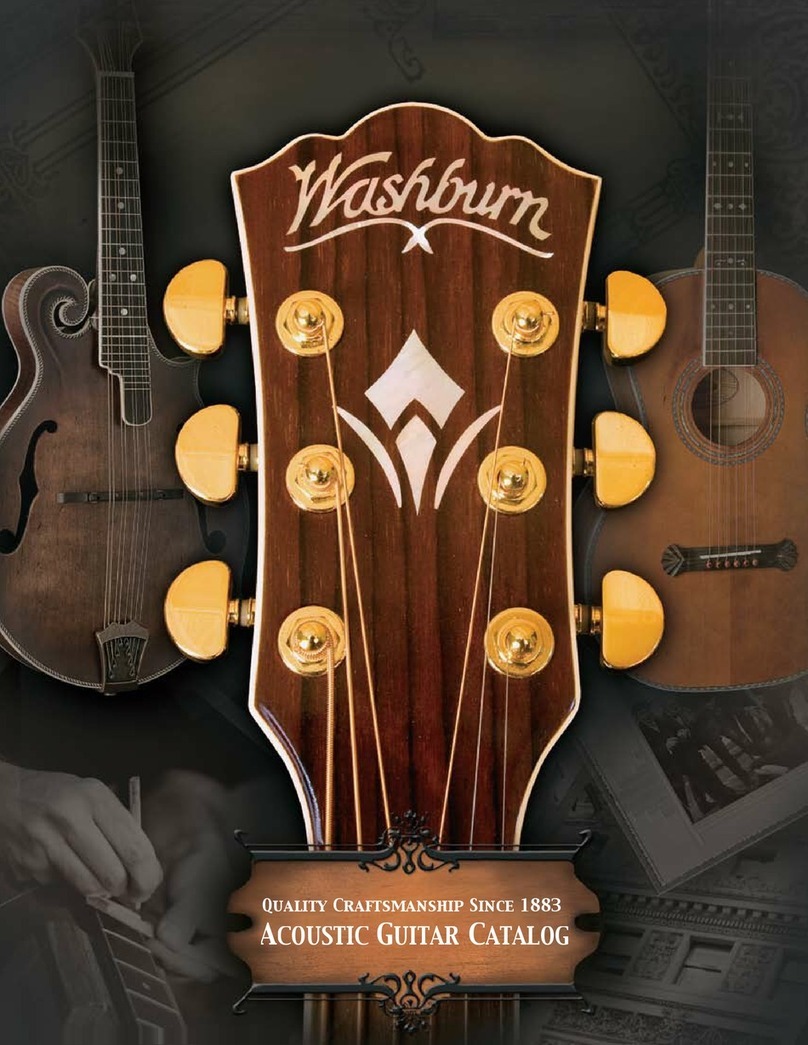 Washburn WD20S brochure