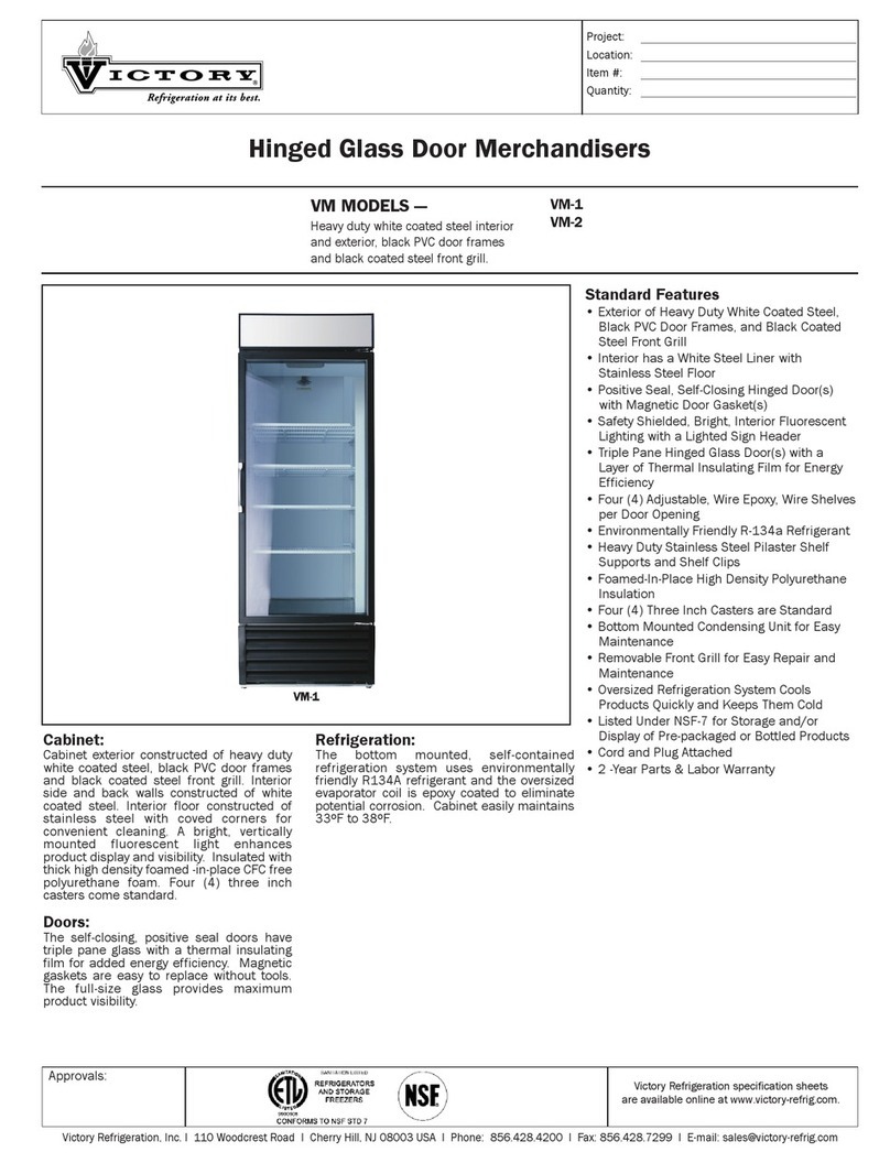 Victory VM-1 User manual
