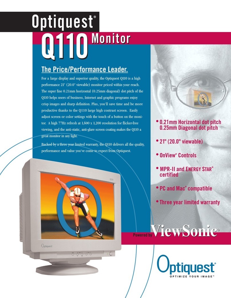 ViewSonic Optiquest Q110 User manual