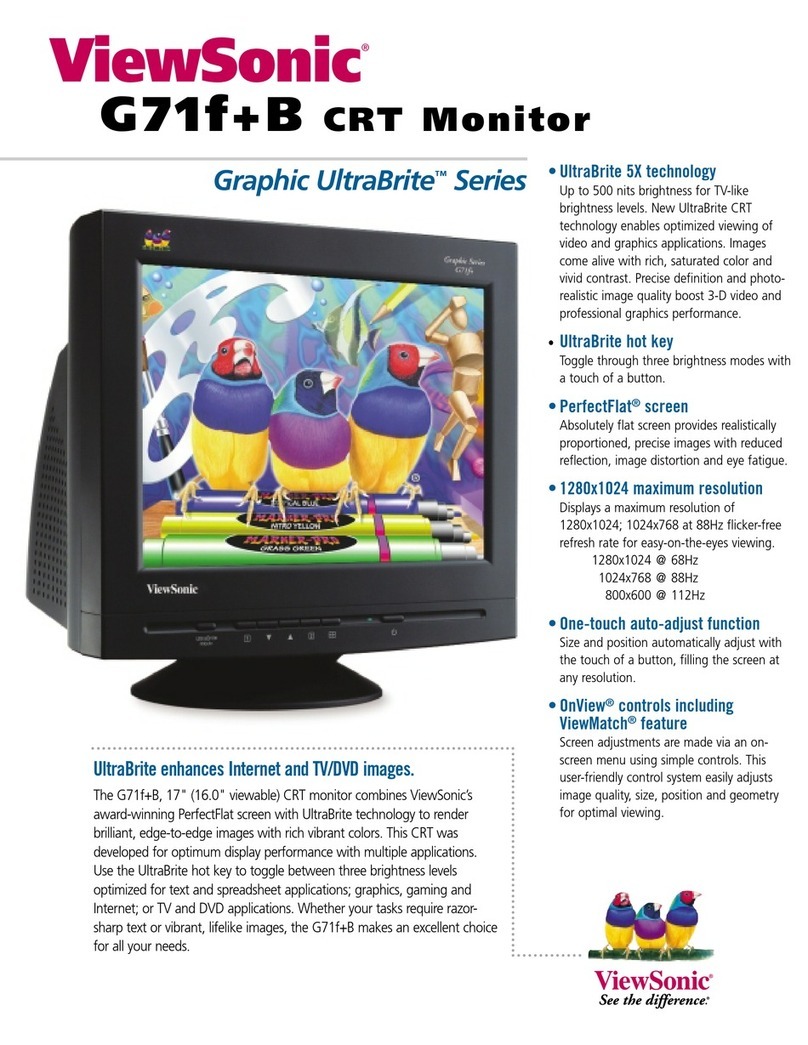 ViewSonic G71fPlus User manual