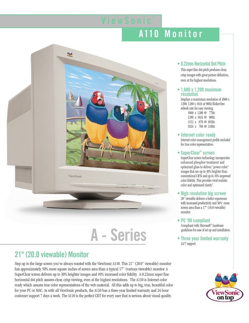ViewSonic A110 User manual