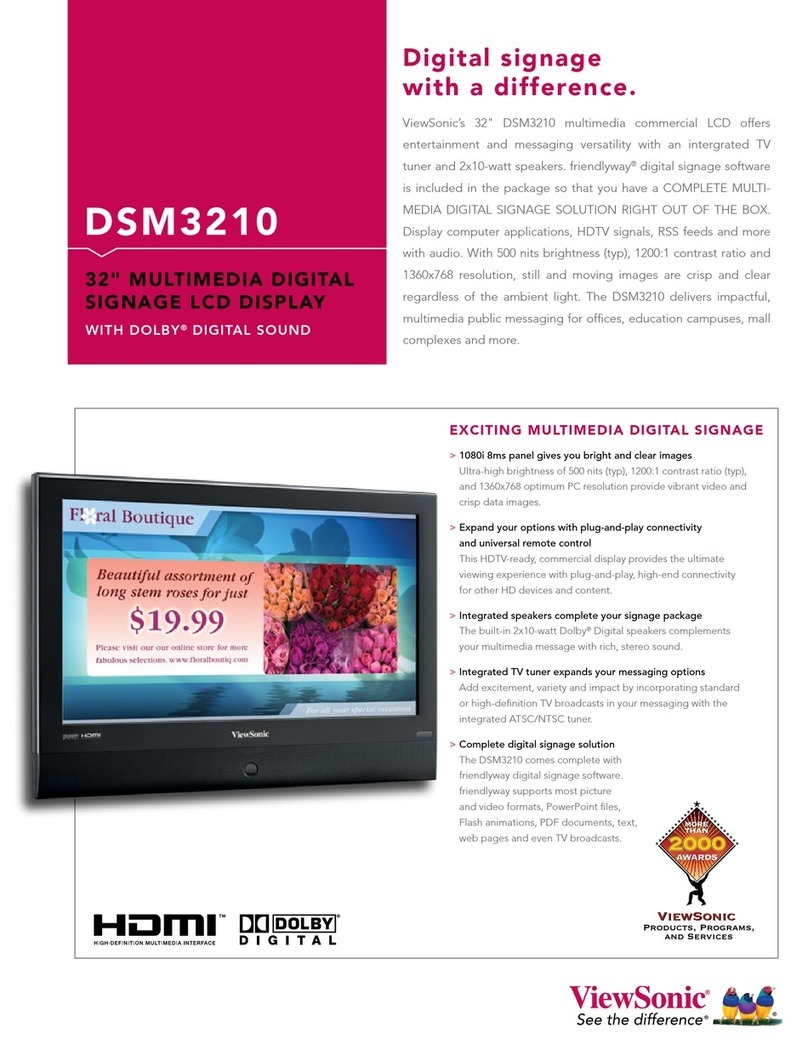 ViewSonic DSM3210 User manual