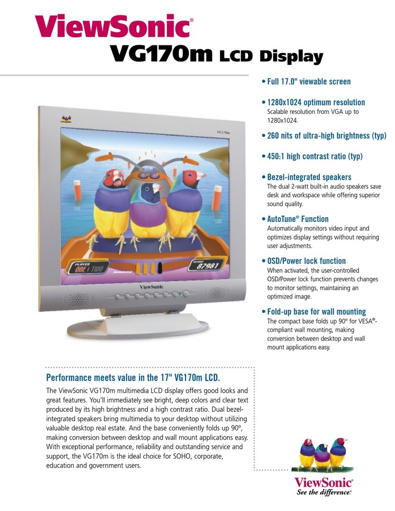 ViewSonic ViewPanel VG170m User manual