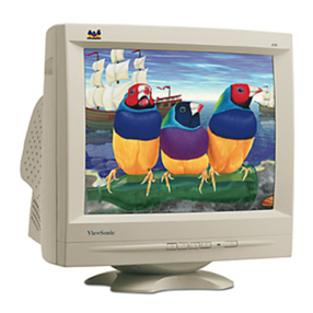 ViewSonic P810 - 21" CRT Display User manual