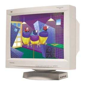 ViewSonic P815 - 21" CRT Display User manual