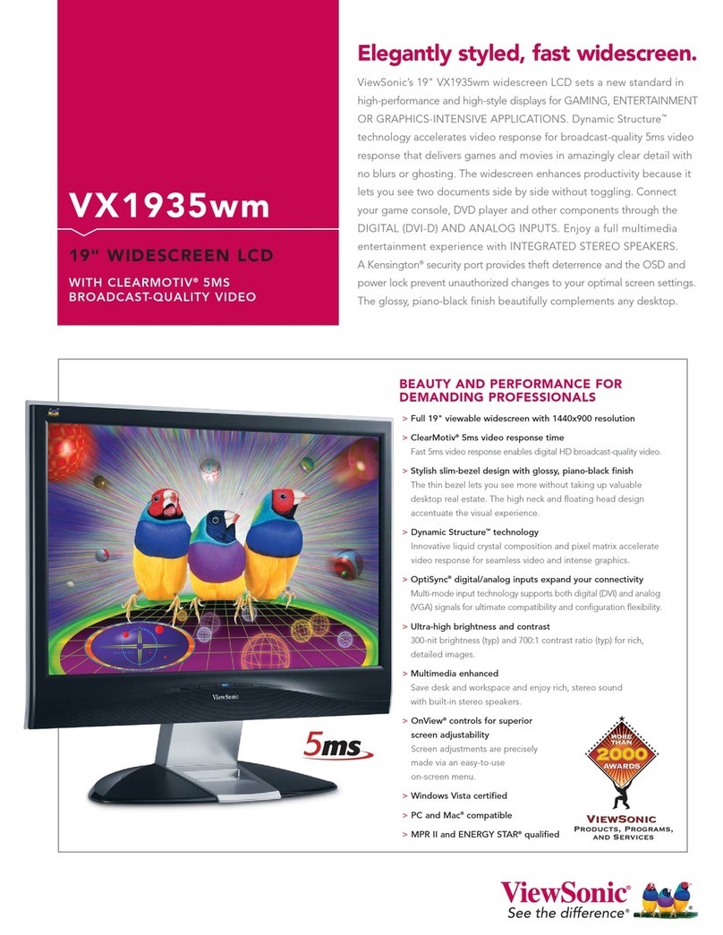ViewSonic VX1935wm User manual