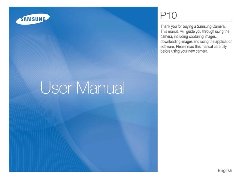 Samsung P10 manual