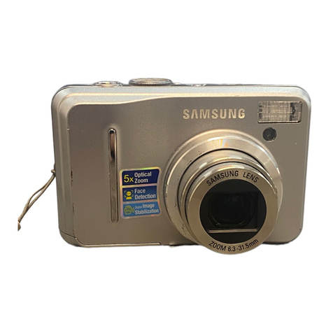 Samsung S1065 User manual