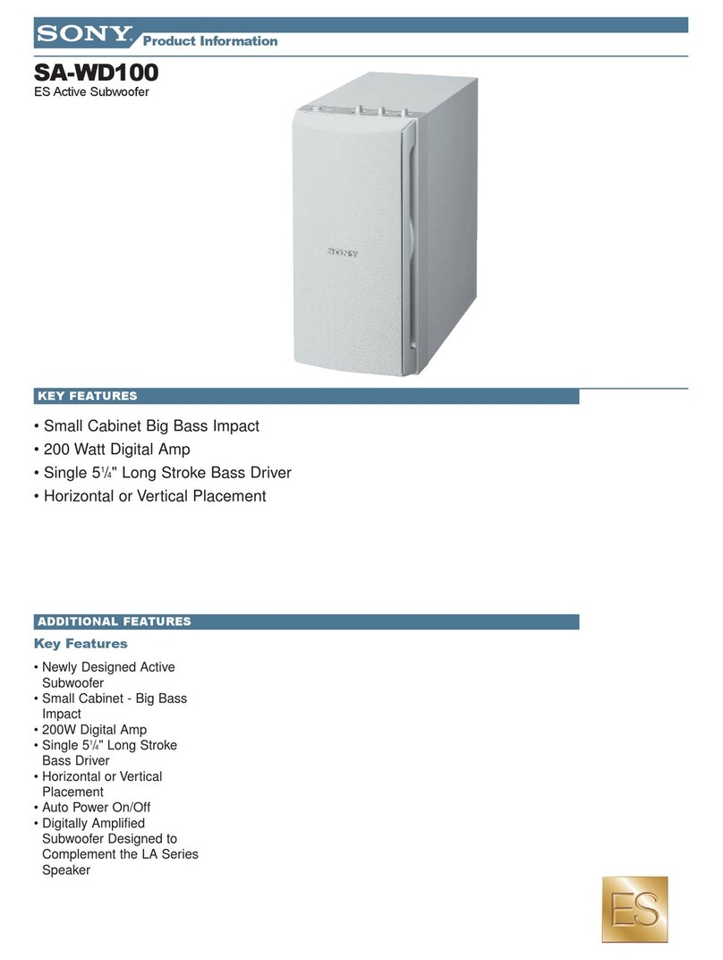 Sony SA-WD100 Product information