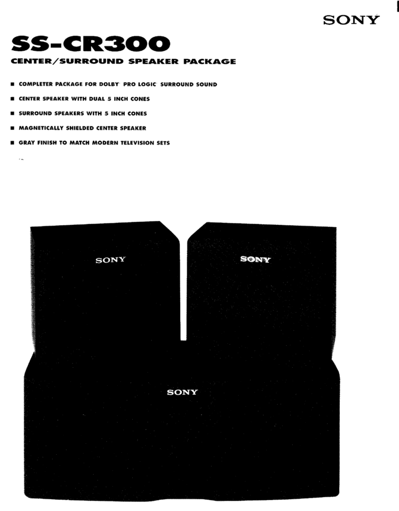 Sony SS-CR300 User manual