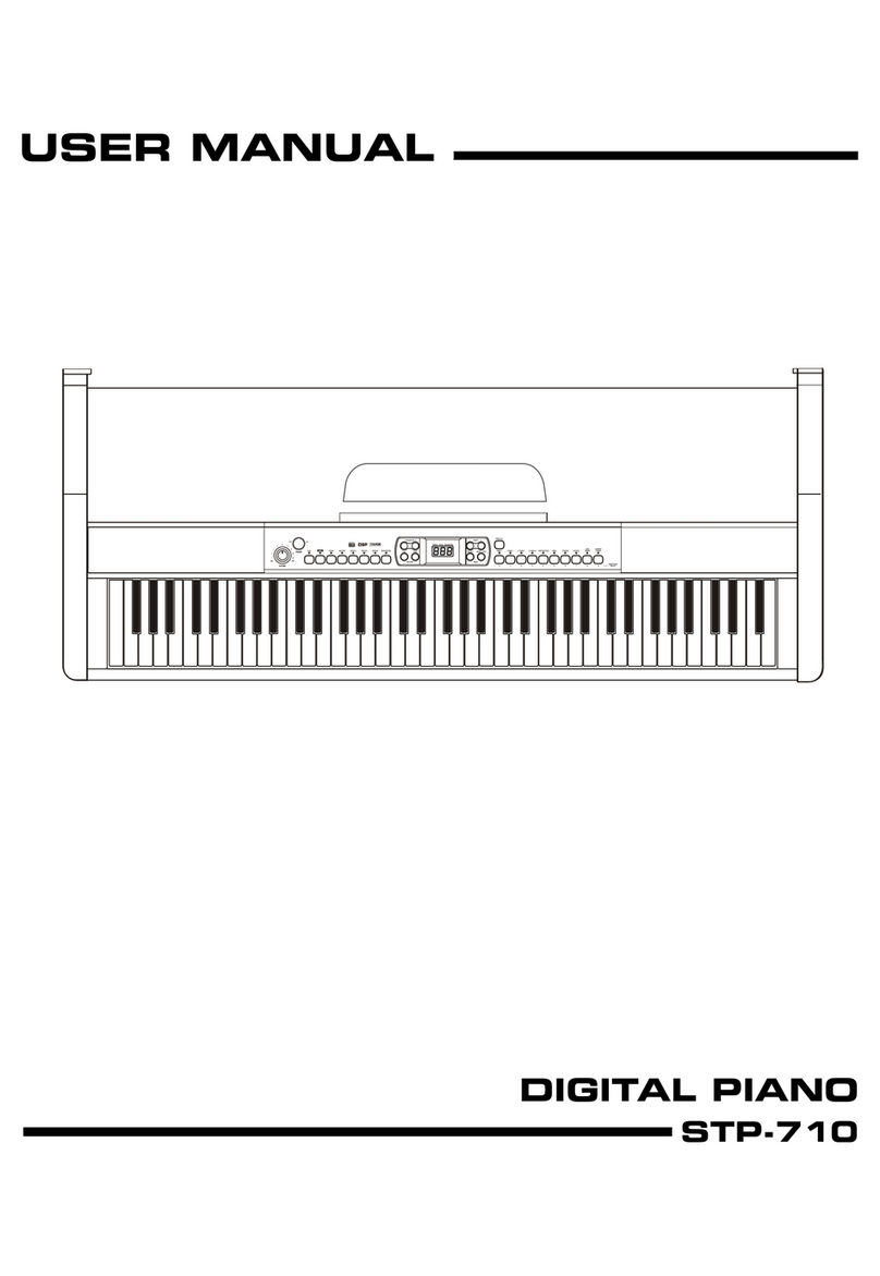 Stagg STP-710 user manual