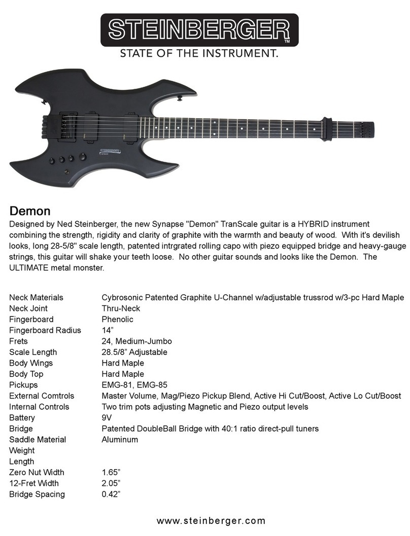 Steinberger Synapse Demon User manual