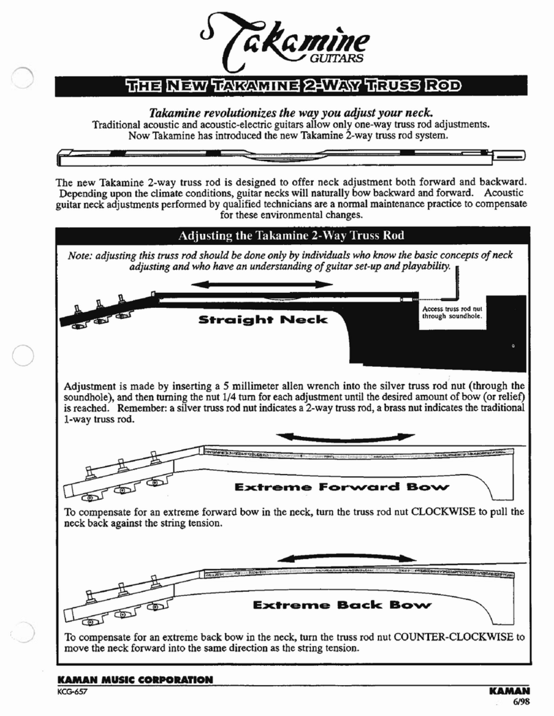Takamine C132S supplementary guide