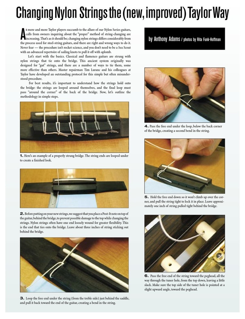 Taylor Nylon Series NS24CE supplementary guide
