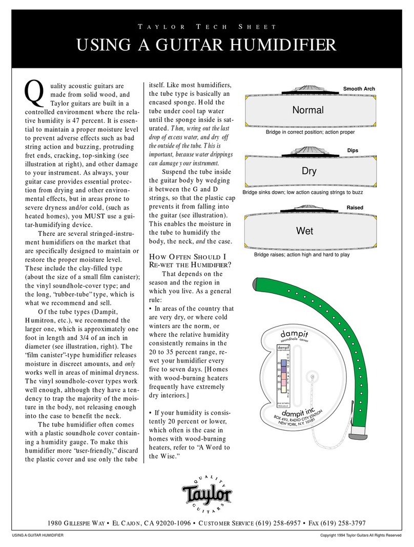 Taylor Serj Tankian T5 supplementary guide