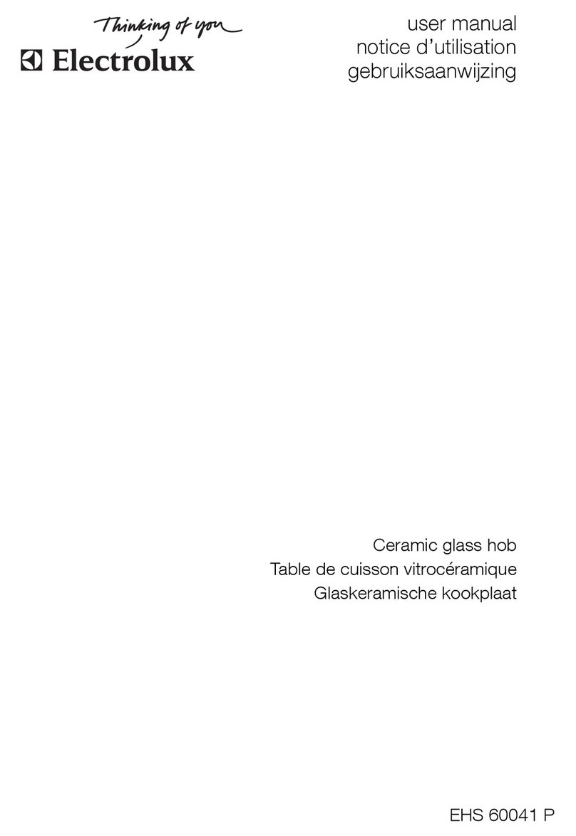 Electrolux EHS 60041 P User manual