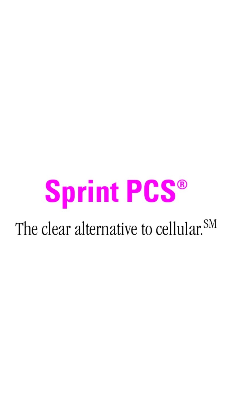 Samsung SPHN300NS User manual