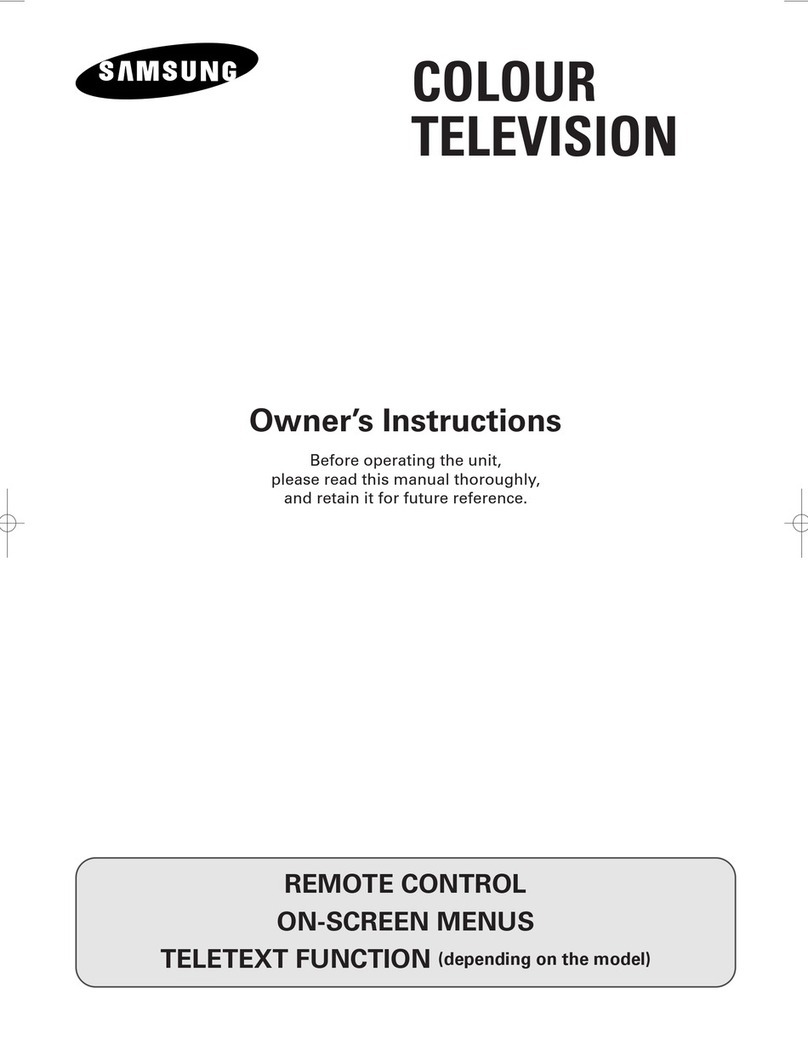 Samsung CS21D8 User manual