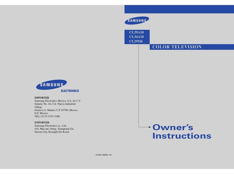 Samsung CL29A10 User manual