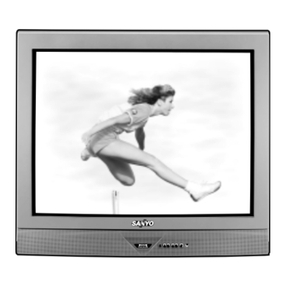 Sanyo DS35520 User manual