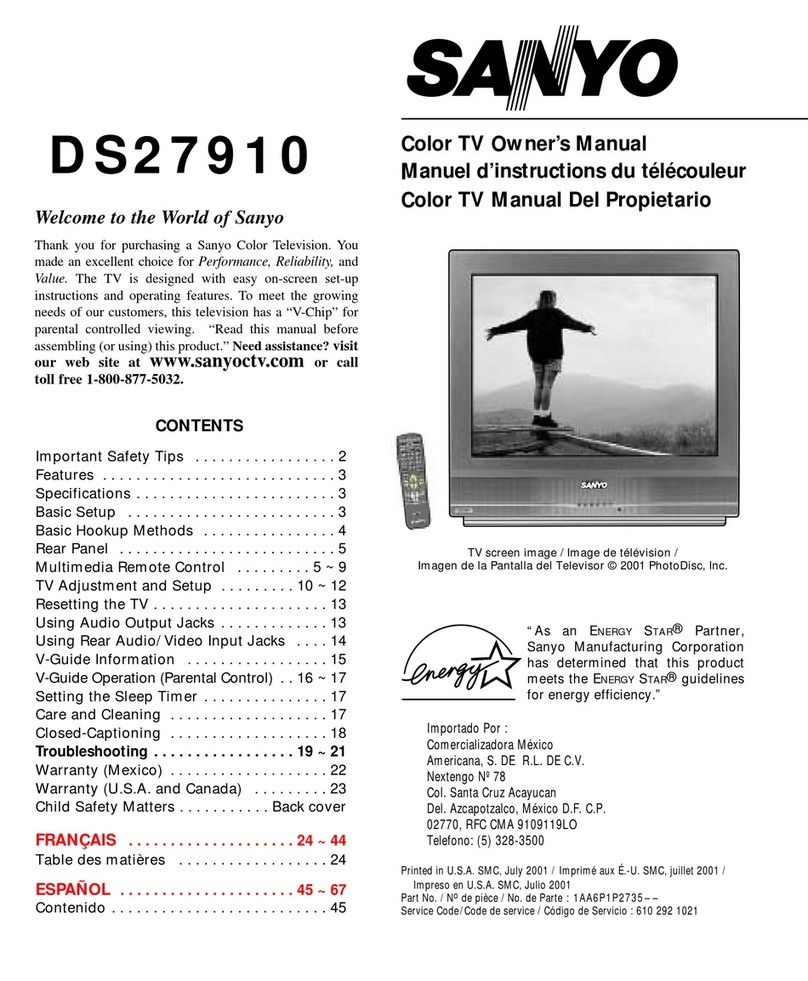 Sanyo DS27910 User manual