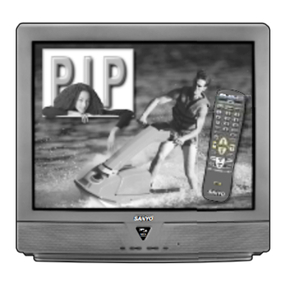Sanyo DS31810 User manual
