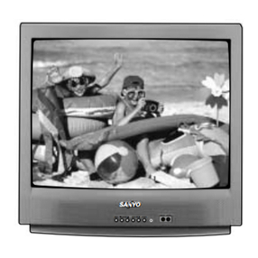 Sanyo DS25320 User manual