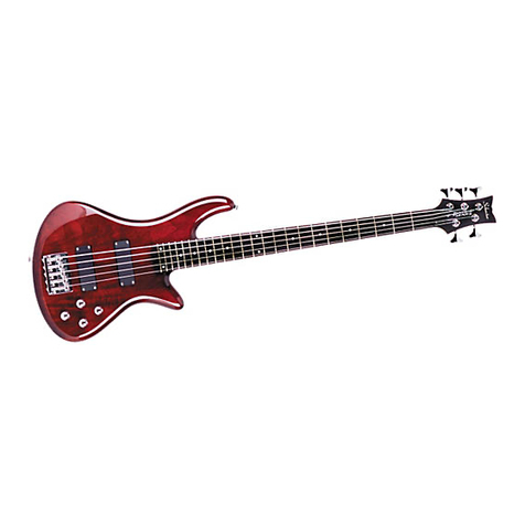 Schecter Stiletto Deluxe 5 supplementary guide