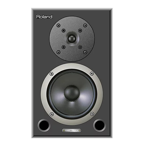 Roland DS-50A User manual
