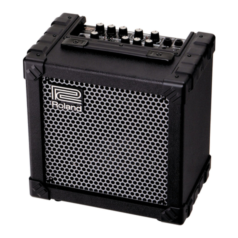 Roland CUBE-20x User manual