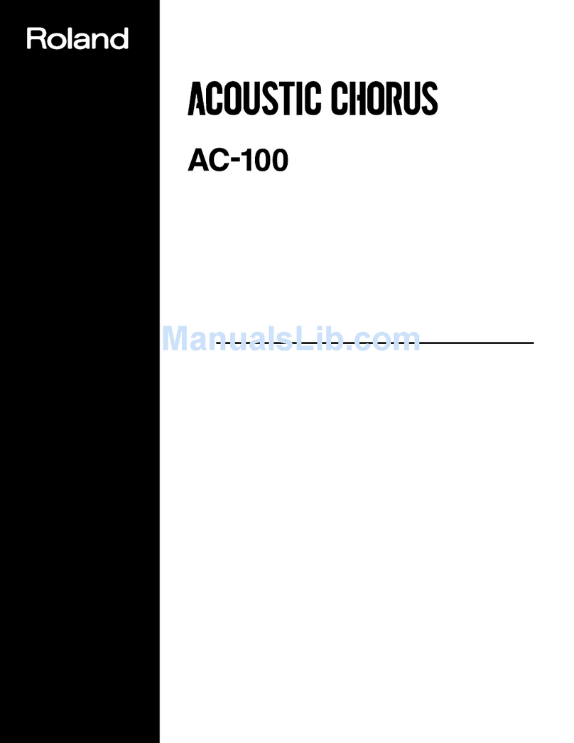Roland Acoustic Chorus AC-100 User manual