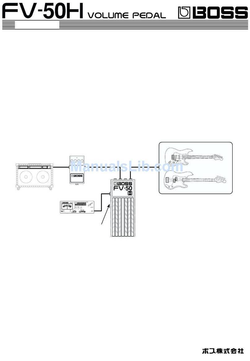 BOSSCO FV-50L User manual