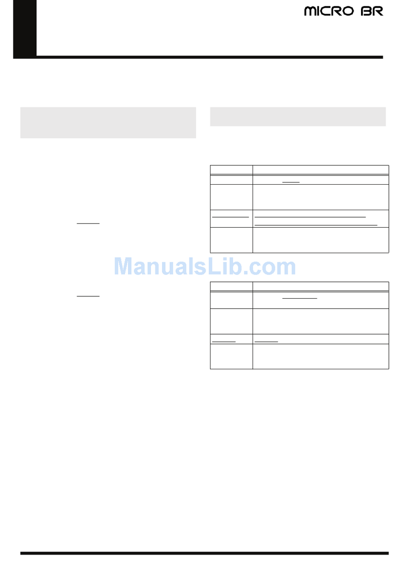 BOSSCO MICRO BR User manual