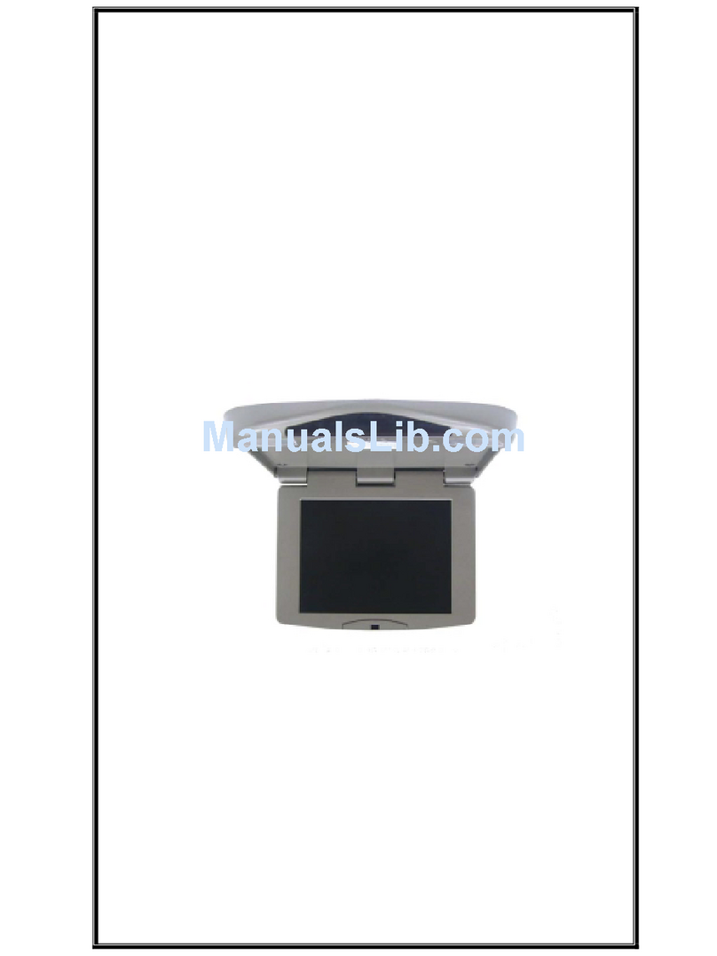 Rosen Car Show CS104LCD User manual
