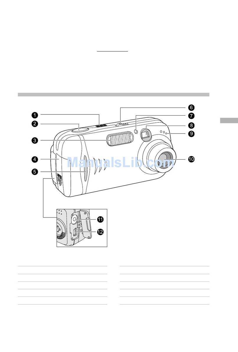Rollei dpx310 User manual